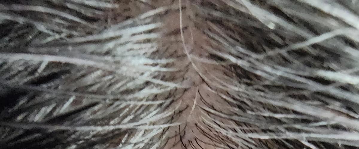 Bay Dermatology in Clearwater, Florida