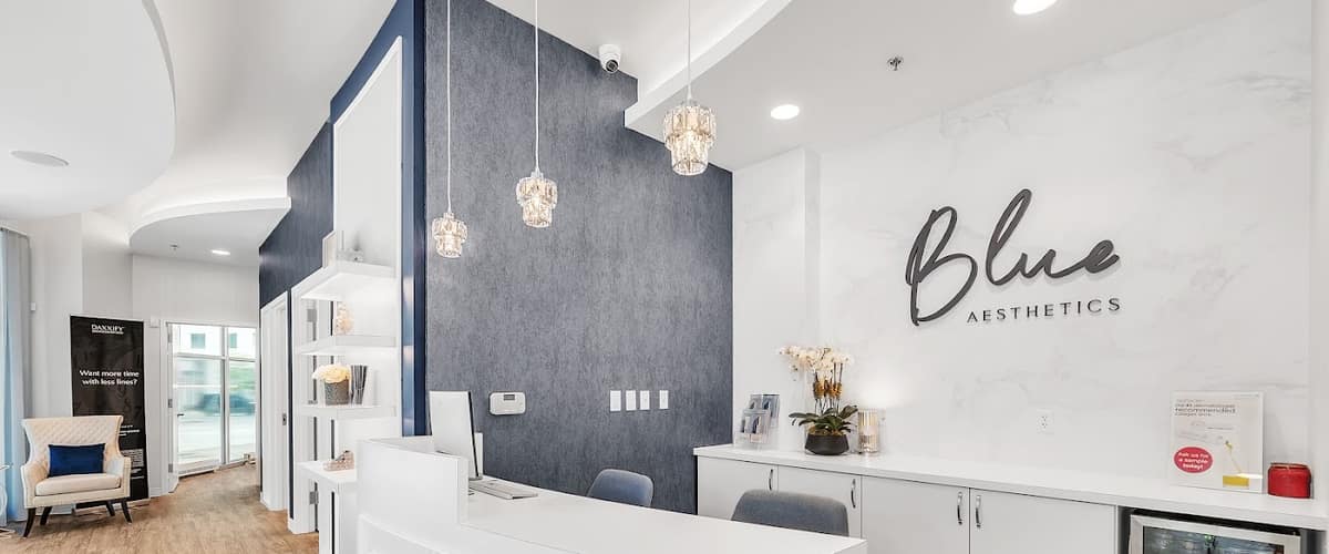 Blue Aesthetics in Arlington, Virginia