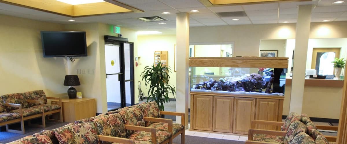 Cara Mia Dermatology in Denver, Colorado