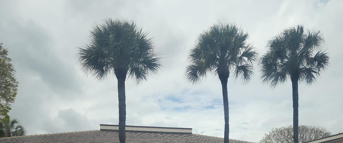 Dermatology Associates of the Palm Beaches in West Palm Beach, Florida