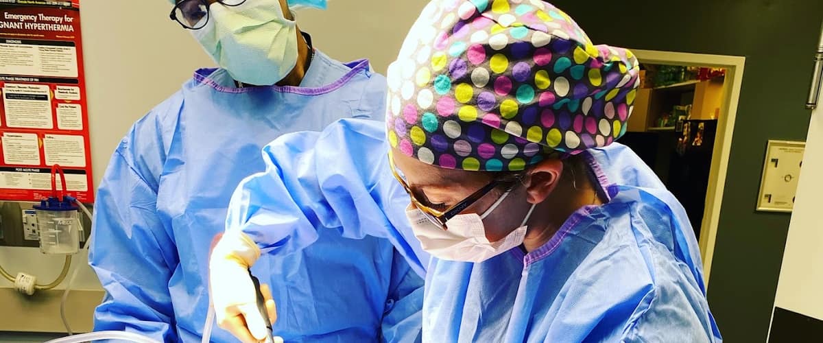 Dr. Celeste Nagy at Cosmetic Surgery Institute Palm Desert in Palm Springs, California