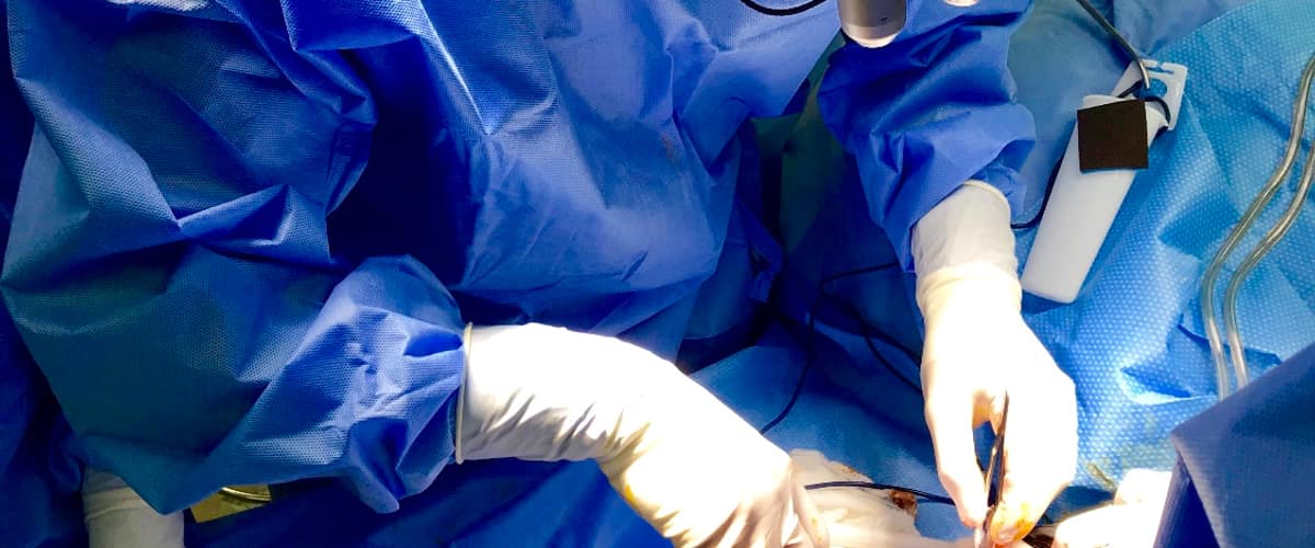 Dr Peter Andrade in Staten Island, New York