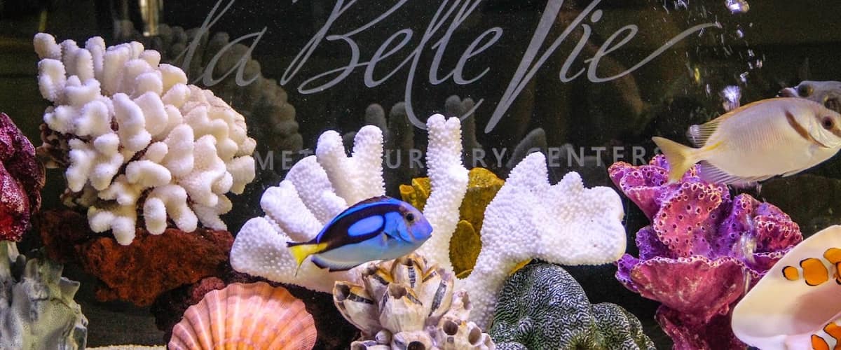 La Belle Vie Cosmetic Surgery Center in Seattle, Washington