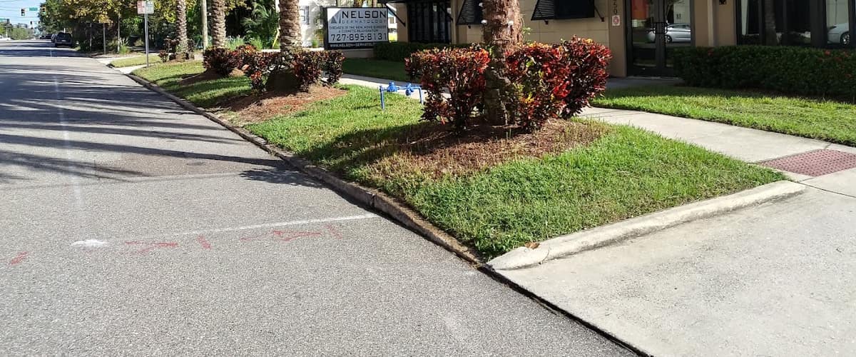 Nelson Dermatology in Tampa, Florida