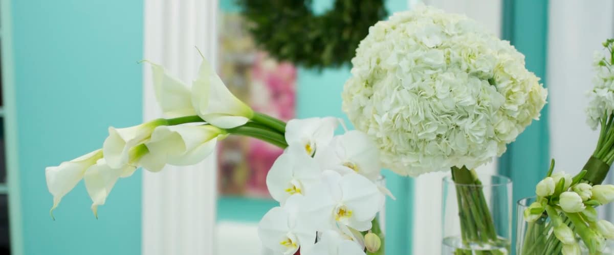 Petro Facial Plastic Surgery in Birmingham, Alabama