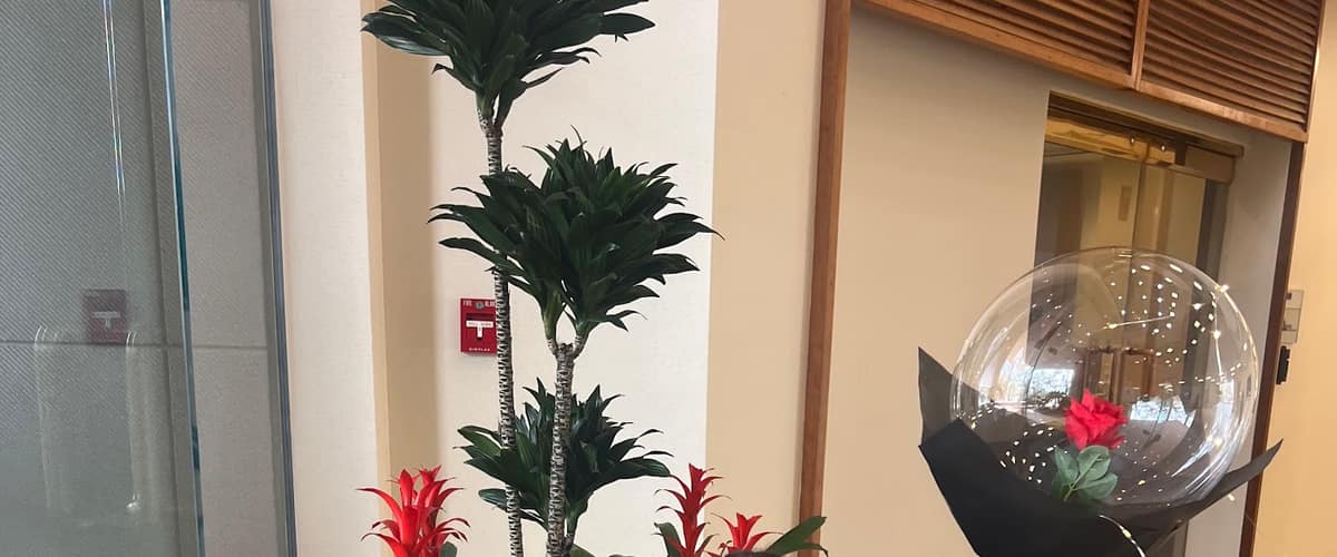 Riverchase Dermatology - Tampa Palms in Tampa, Florida