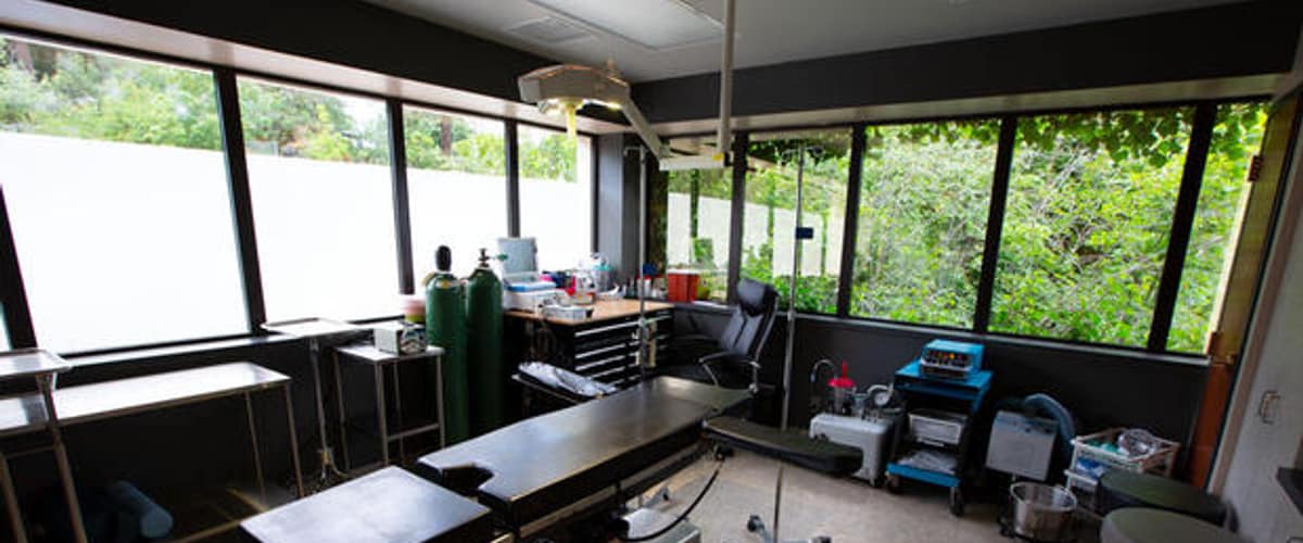 Stiller Aesthetics in Spokane, Washington