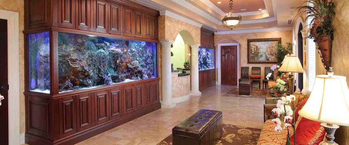The Bowman Institute for Dermatologic Surgery in Wesley Chapel, Florida