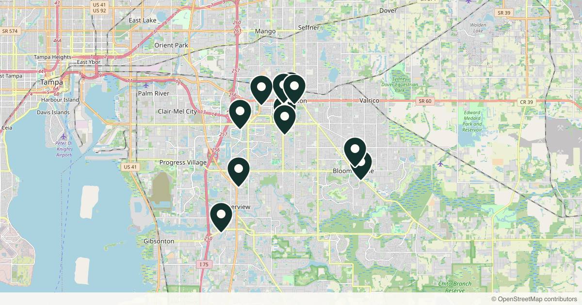 Map of 13 med spas and aesthetic clinics in Brandon, Florida