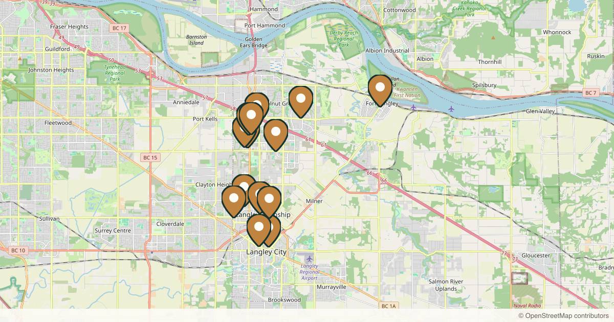Map of 14 med spas and aesthetic clinics in Langley, British Columbia