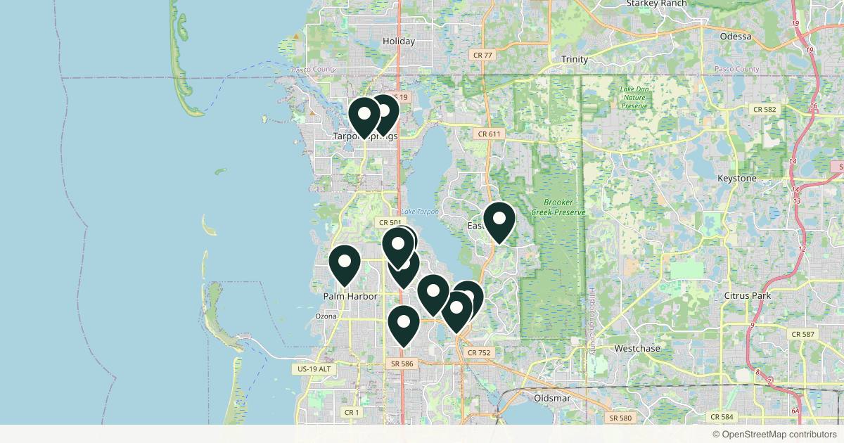 Map of 11 med spas and aesthetic clinics in Palm Harbor, Florida