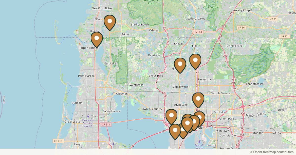 Map of med spas and aesthetic clinics in Tampa, Florida