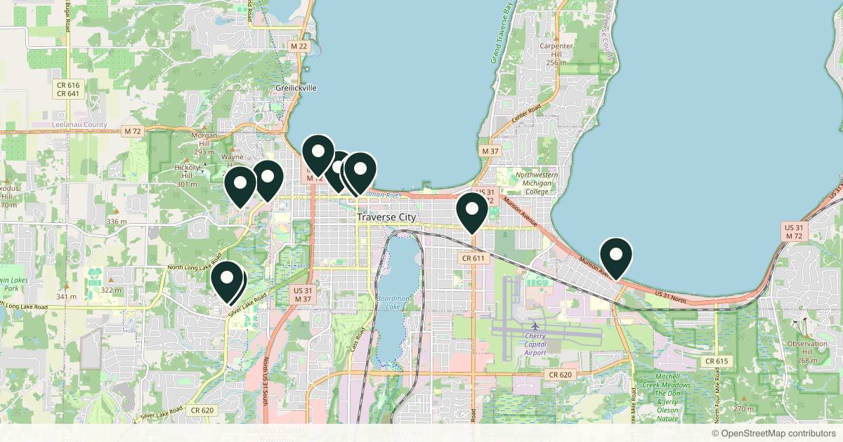 Map of 14 med spas and aesthetic clinics in Traverse City, Michigan