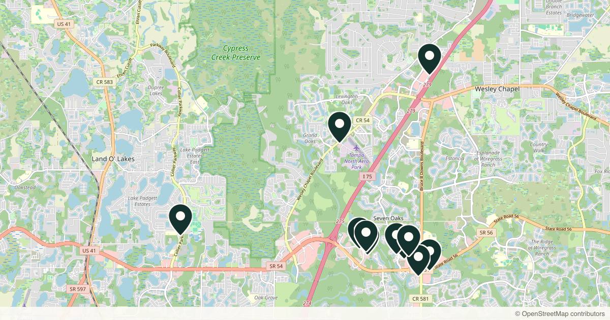 Map of 11 med spas and aesthetic clinics in Wesley Chapel, Florida