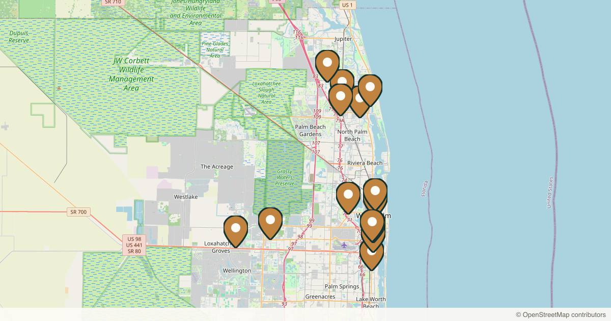 Map of 14 med spas and aesthetic clinics in West Palm Beach, Florida