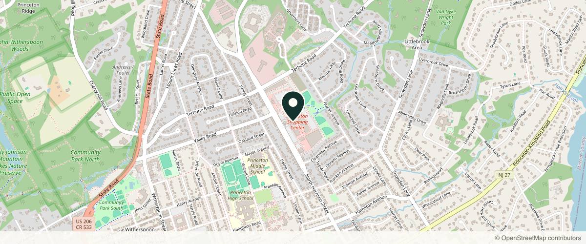 Map showing the exact location of 4Ever Young Med Spa & Wellness Center - Princeton at 301 N Harrison St Ste 540, Princeton, NJ 08540, USA