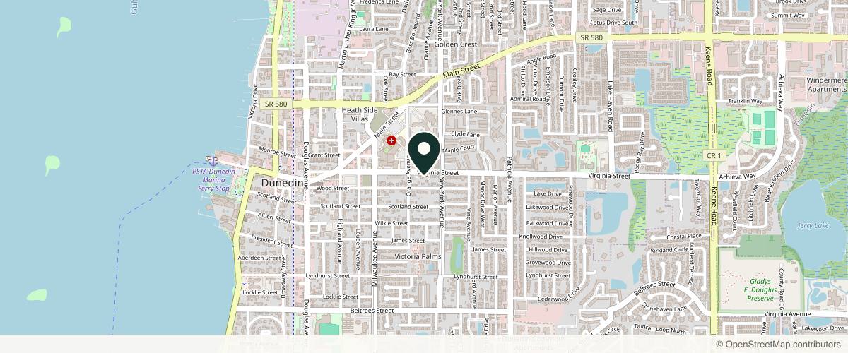 Map showing the exact location of 725 Virginia Street Dermatology at 725 Virginia St, Dunedin, FL 34698