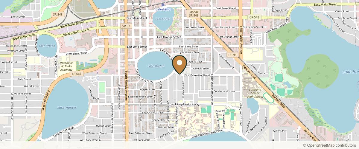 Map showing the exact location of Balanced Health and Wellness at 721 E Palmetto St, Lakeland, FL 33801, USA