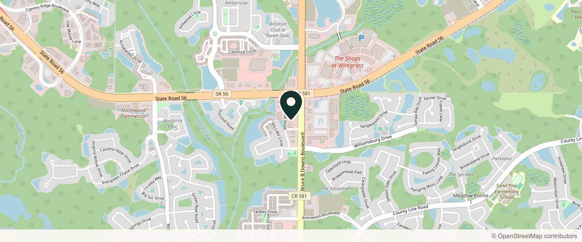 Map showing the exact location of Bella Excellence at 1821 Bruce B Downs Blvd, Wesley Chapel, FL 33543, USA