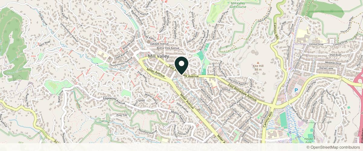 Map showing the exact location of Belle Marin Aesthetic Medicine at 250 E Blithedale Ave Ste B, Mill Valley, CA 94941, USA