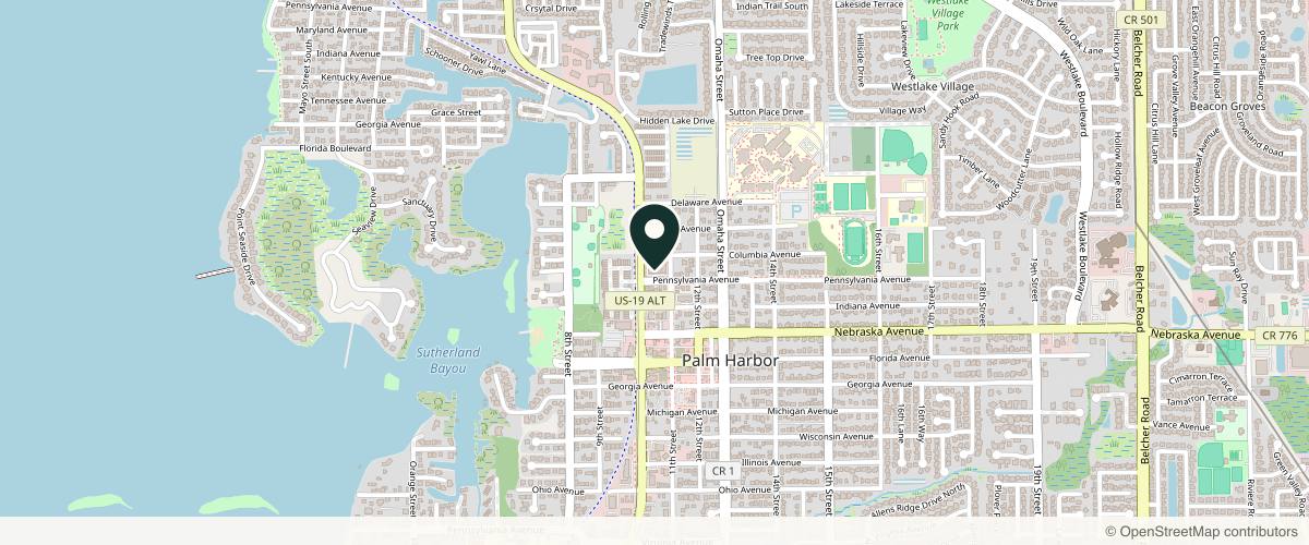 Map showing the exact location of Beneath the Surface Skincare MedSpa at 1440 Palm Harbor Blvd, Palm Harbor, FL 34683, USA