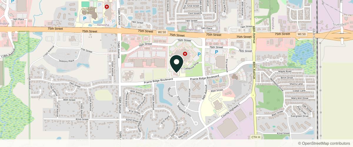 Map showing the exact location of Brian Hill, MD - Plastic and Hand Surgery at 9697 St Catherine's Dr, Pleasant Prairie, WI 53158, USA
