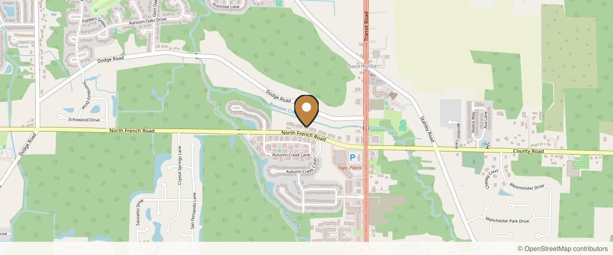 Map showing the exact location of Buffalo Aesthetics | The Medical Spa Experts at 4500 N French Rd, East Amherst, NY 14051, USA