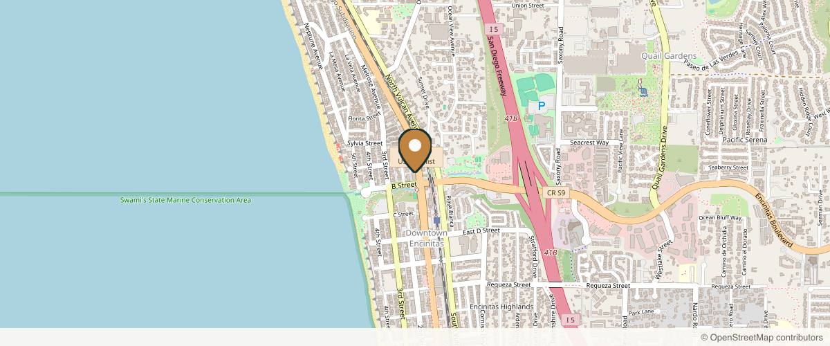 Map showing the exact location of Call of Beauty Med Spa Encinitas - Botox and Medical Grade Facials at 90 N Coast Hwy 101 Ste 207, Encinitas, CA 92024, USA
