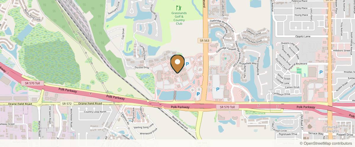 Map showing the exact location of DayDreams Day Spa & Massage | Lakeland, FL at 1463 Town Center Dr E, Lakeland, FL 33803, USA
