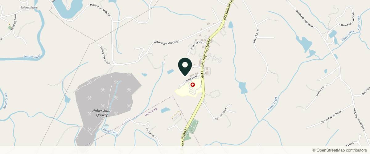 Map showing the exact location of Dermatology Associates of Northeast Georgia at 225 Adams Dr, Demorest, GA 30535