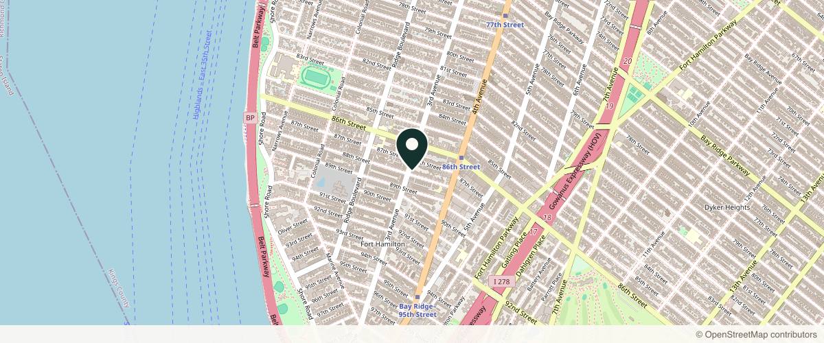 Map showing the exact location of Dolce Aesthetics at 8721 3rd Ave, Brooklyn, NY 11209, USA