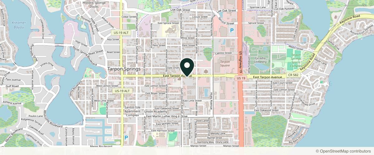 Map showing the exact location of Envy Me Aesthetics at 624 E Tarpon Ave, Tarpon Springs, FL 34689, USA