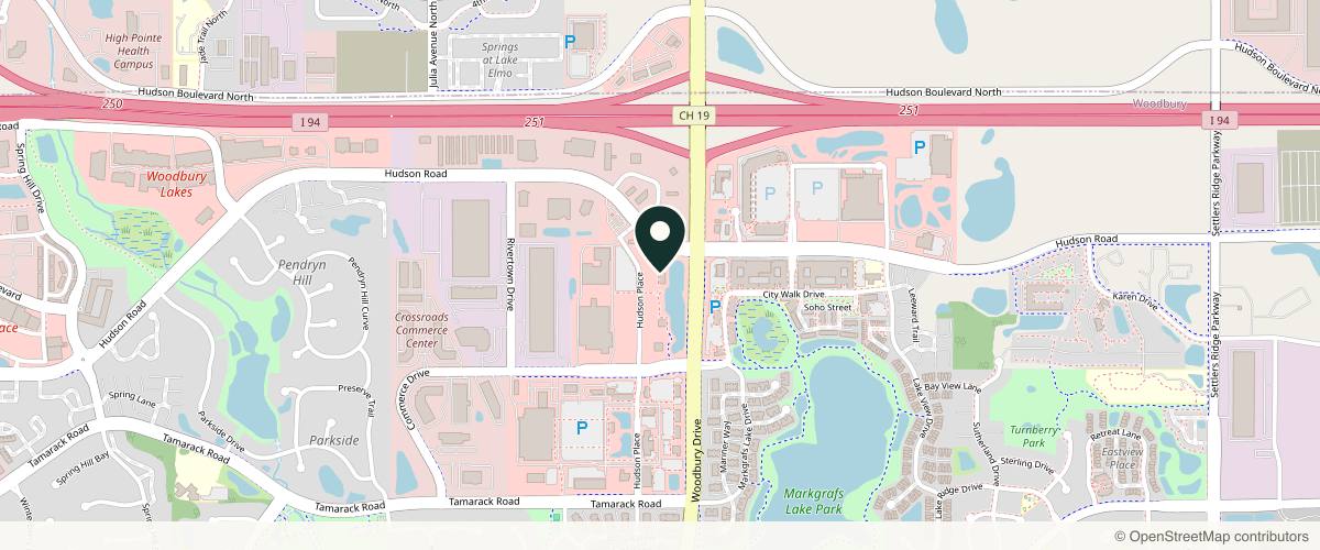 Map showing the exact location of FACE FOUNDRIÉ - Woodbury at 9955 Hudson Pl Suite 540, Woodbury, MN 55125, USA