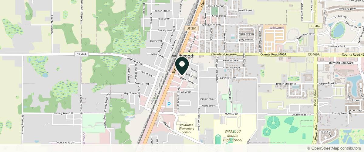 Map showing the exact location of Face-Time Aesthetics at 205 Oxford St, Wildwood, FL 34785, USA