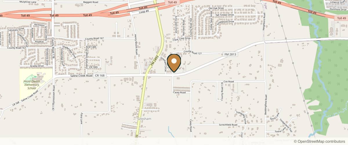 Map showing the exact location of Flawless Medical Aesthetics PLLC at 10688 FM 2813 Ste 100, Flint, TX 75762, USA
