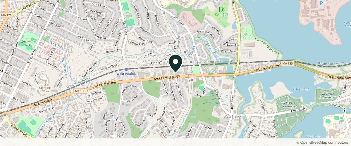 Map showing the exact location of Flora Med Spa at 209 W Central St #300, Natick, MA 01760, USA
