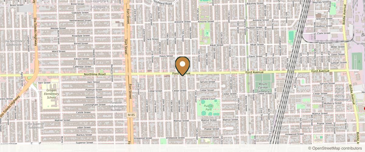 Map showing the exact location of GOTOX Aesthetics at 1713 Ford Ave, Wyandotte, MI 48192, USA