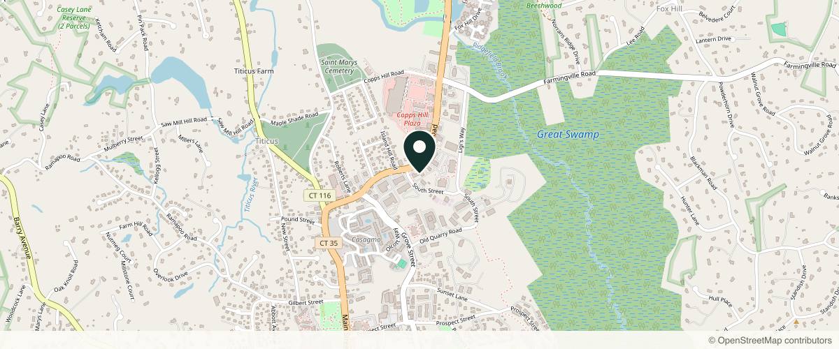 Map showing the exact location of Greenwich Medical Spa at Ridgefield at 88 Danbury Rd, Ridgefield, CT 06877, USA