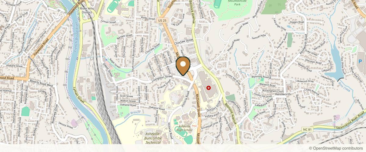 Map showing the exact location of Halvorson Plastic Surgery at 5 Livingston St, Asheville, NC 28801, USA