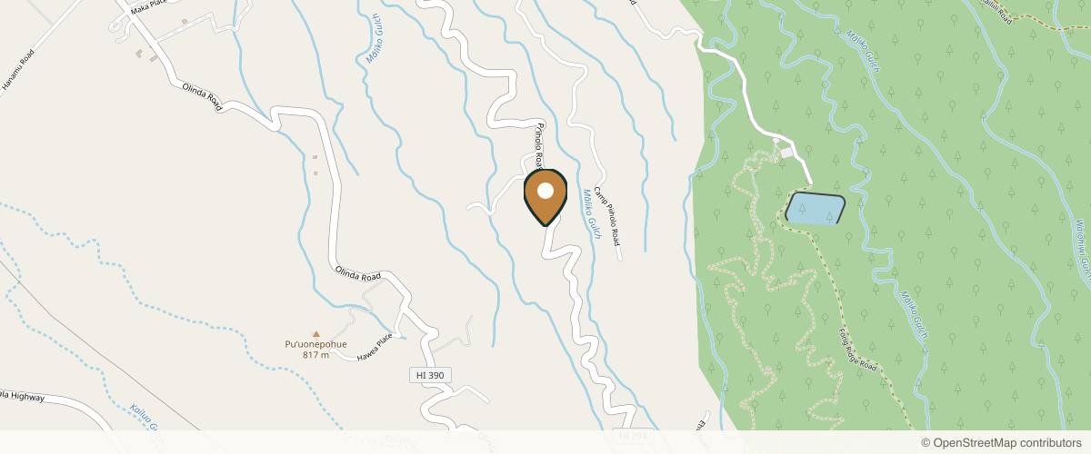 Map showing the exact location of Ho'omana Spa Maui at 1550 Piiholo Rd, Makawao, HI 96768, USA