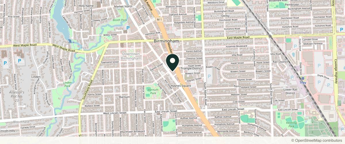 Map showing the exact location of Icon Anti-Aging and Aesthetics at 555 S Old Woodward Ave #700, Birmingham, MI 48009, USA