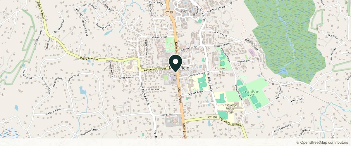 Map showing the exact location of JT Aesthetics MedSpa at 381 Main St, Ridgefield, CT 06877, USA