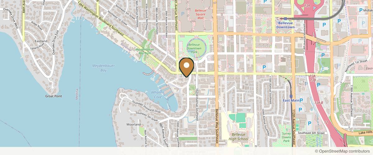 Map showing the exact location of Lévy Aesthetics at 10047 Main St Apt 101, Bellevue, WA 98004, USA