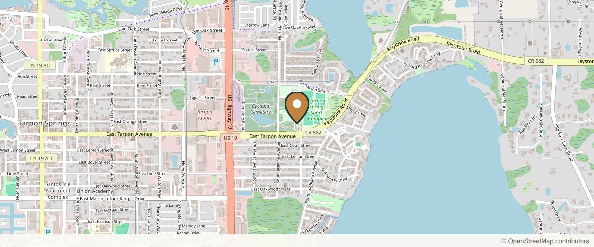 Map showing the exact location of LaserSpa of Tampa Bay at 1219 E Tarpon Ave, Tarpon Springs, FL 34689