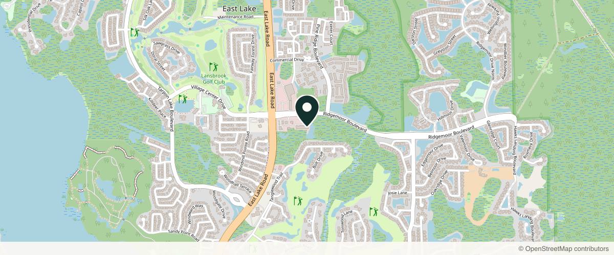 Map showing the exact location of Ólea Aesthetics at 4958 Ridgemoor Blvd, Palm Harbor, FL 34685, USA