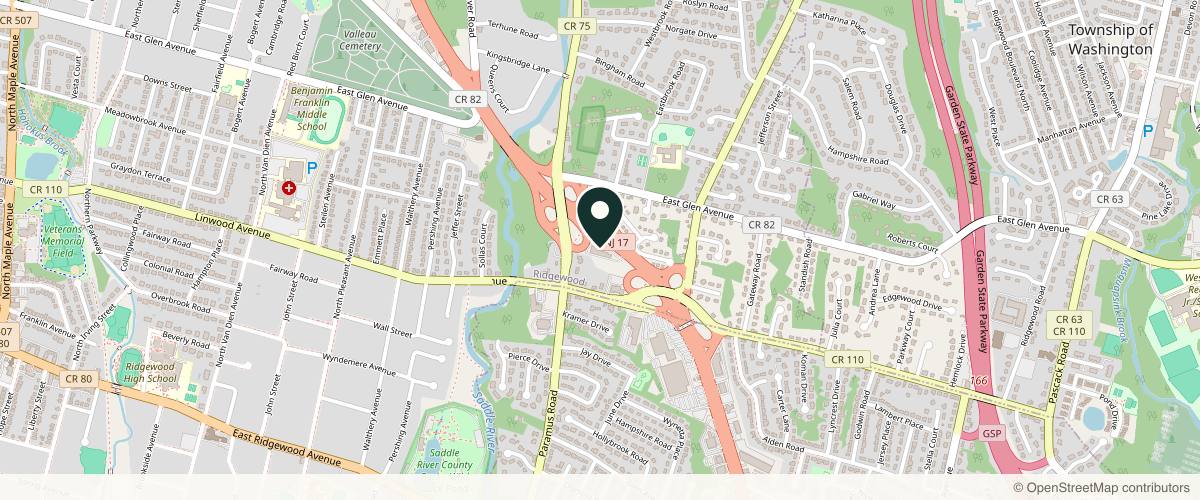Map showing the exact location of Liquivida Wellness Center | Ridgewood at 377 NJ-17, Ridgewood, NJ 07450, USA