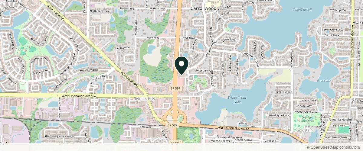 Map showing the exact location of Livia Med Spa at 10043 N Dale Mabry Hwy, Tampa, FL 33618, USA