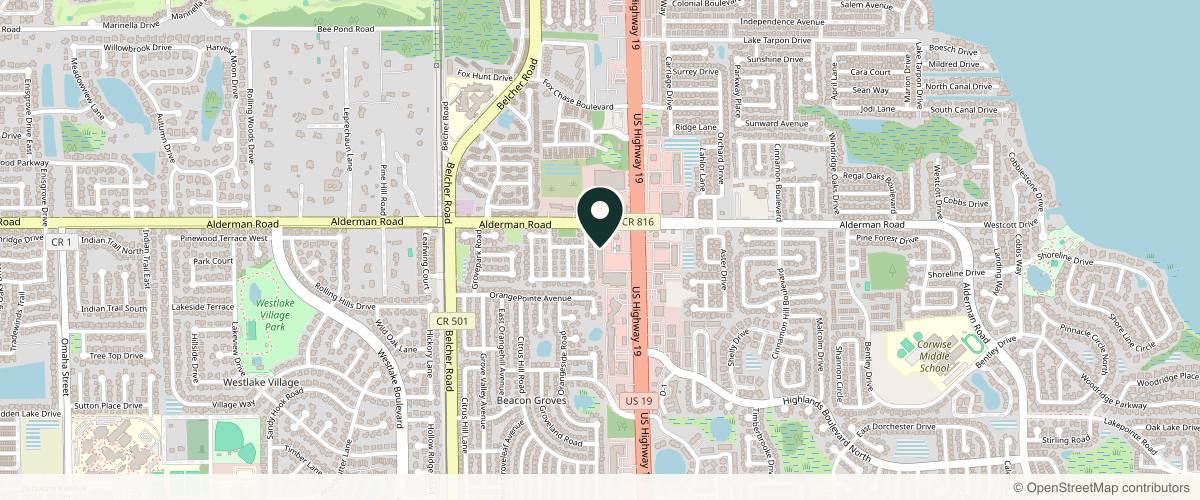 Map showing the exact location of LivingYoung Center for Health & Anti-Aging - Palm Harbor at 35196 US Hwy 19 N, Palm Harbor, FL 34683, USA