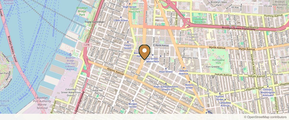 Map showing the exact location of Lov MedSpa Brooklyn at 1 Boerum Pl Ste 252, Brooklyn, NY 11201, USA