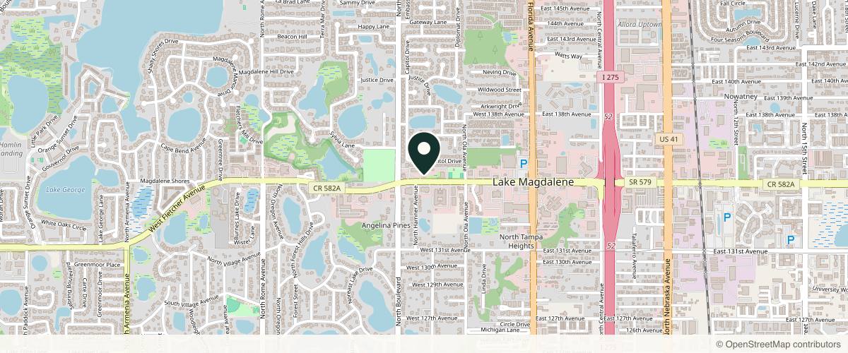 Map showing the exact location of Luxe Face and Body Med Spa at 707 W Fletcher Ave, Tampa, FL 33612, USA